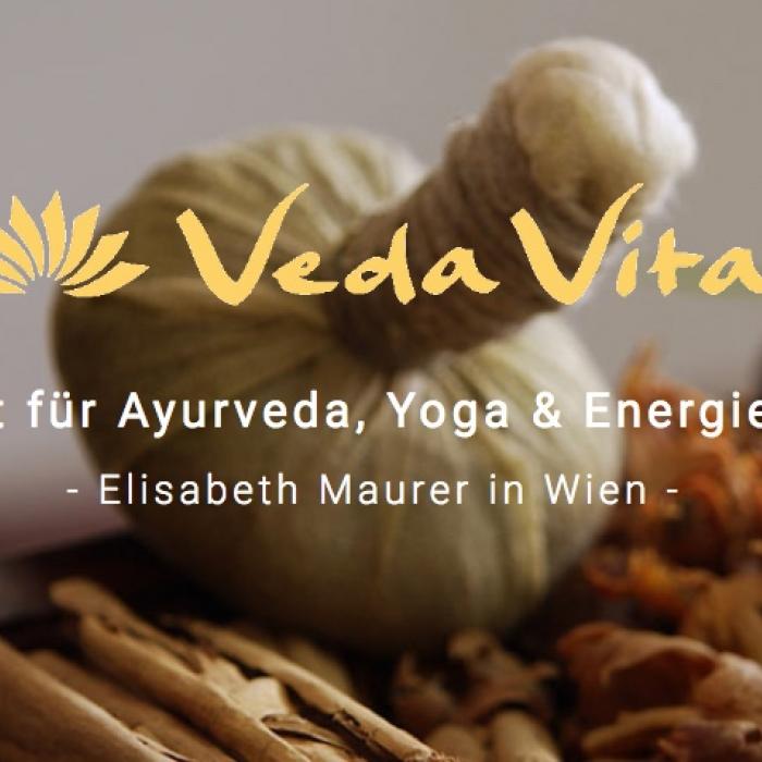 Veda Vital Akademie