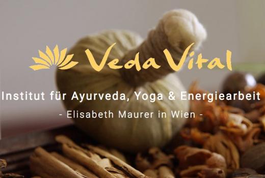 Veda Vital Akademie